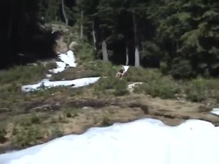 Porn Awesome Brunette MILF Fucked Hard Outdoors Style