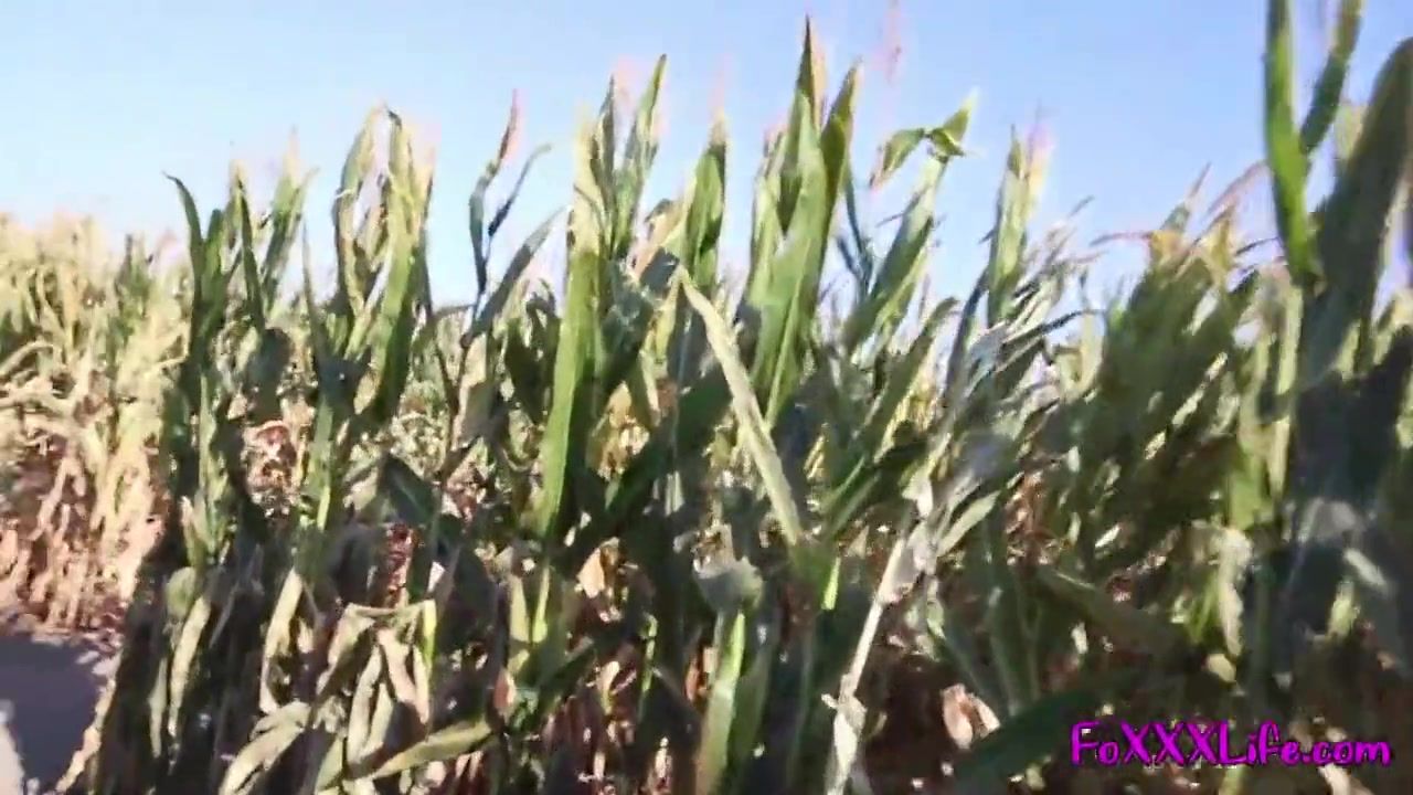 FUQ Blond Babe Flashes In Corn Maze Masturbate - 2