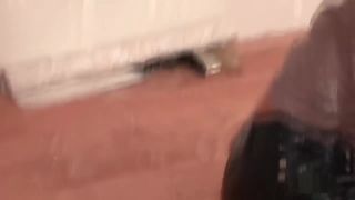 Ecchi Messy Lesbo Having Party By Allwam Cum In Mouth