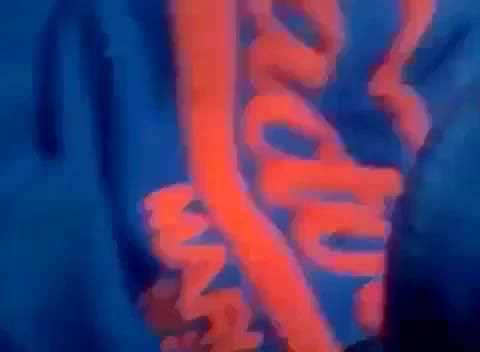 Webcamsex [한국야동] 걸레가 되기위해 딱풀로 연습하는 유망주 전화통화하면서 뭐하는거 미소녀의 자위 [야실하우스] Capri Cavanni