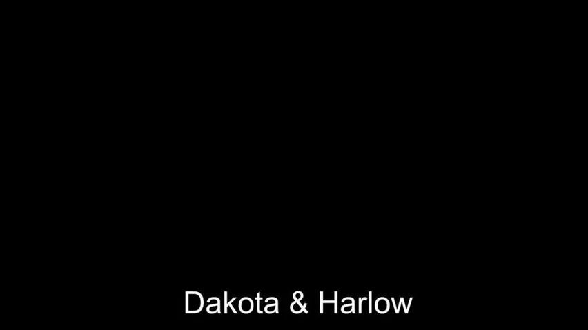 Muscular BRCC - Dakota and Harlow 3way Amature