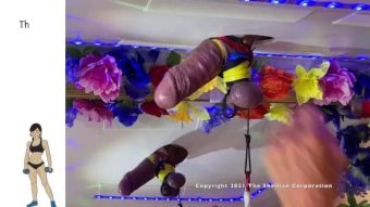 Gorda CBT for Ecstasy Compilation with Femdom Masturbation and Toys Pay