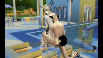 Menage Furry Yaoi - Dog and Snow Leopard Sex in a Swimming pool Suck