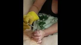 BananaSins BDSM CBT Urethral Sounding Medical Play Cock Torment - Nettles & Dental Probes Best Blow Job