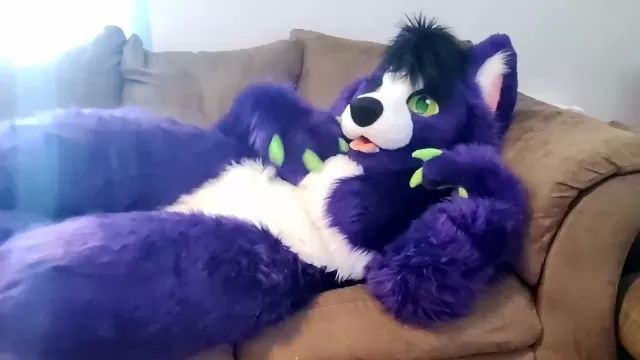 High Definition A Little Alone Time - Solo Fursuit Petting and Rubbing - Solo Female - Low Volume Skin Diamond