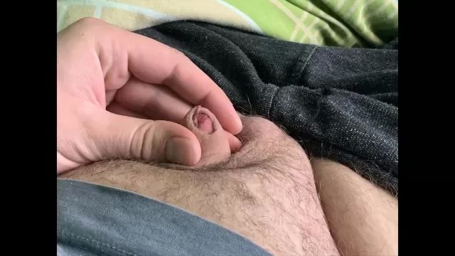 Sub Taking photos of my little hairy penis Satin