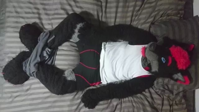 Facesitting Sexy Fursuit Stripping Hot Cunt