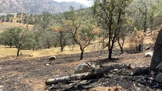 Alexis Texas Exploring Naked - Wildfire Aftermath | HD 60FPS Porn Star