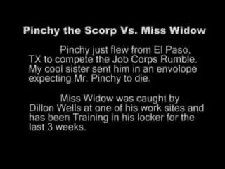 Foreplay Pinchy The Scorp Vs Miss Widow Brunettes