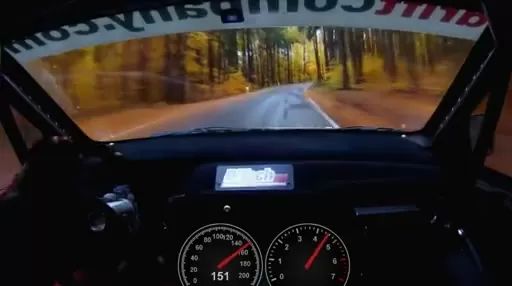 Swinger What 206km/h in the Forest Looks Like Free3DAdultGames